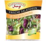 Küchenfertige Salatmischung im Test: Jung Bunte Mischung von Gartenfrisch, Testberichte.de-Note: ohne Endnote