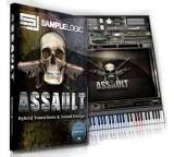 Audio-Software im Test: Assault von Sample Logic, Testberichte.de-Note: 1.0 Sehr gut