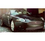 Auto im Test: XK Cabriolet 3.5 V8 Automatik (190 kW) [06] von Jaguar, Testberichte.de-Note: 1.8 Gut