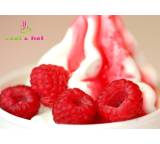 Frozen Yogurt mit Obst-Topping