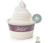 Frozen Yogurt mit Obst-Topping