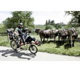 Fahrrad im Test: Pino Porter (Modell 2013) von Hase Bikes, Testberichte.de-Note: ohne Endnote