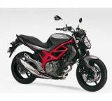 SFV 650 Gladius ABS (35 kW) [13]