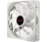 T.B. Cluster 140 (UCCL14)