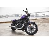Sportster Iron 883 ABS (39 kW) [14]