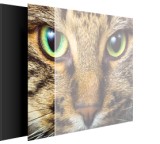 Bilderdienst im Test: Foto auf Acryl-Glas (30 x 40 cm) von Albelli, Testberichte.de-Note: 2.2 Gut