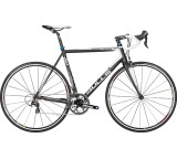 Desert Falcon (Modell 2014)