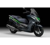 J300 Special Edition ABS (20 kW) [14]