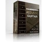 Hammered Acoustic Guitar Full Bundle