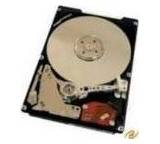 Deskstar 7K250 HDS722525VLSA80 (250 GB)