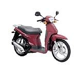 SH 50 Scoopy