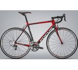 Cayo Evo 2.0 (Modell 2014)