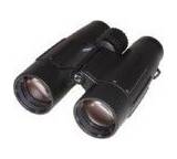 Victory 10 x 42 T*FL