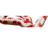 Bootszubehör im Test: Gemini X von Gleistein, Testberichte.de-Note: 1.0 Sehr gut