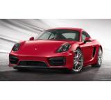 Cayman GTS PDK (250 kW) [13]