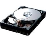 Spinpoint T133 HD401LJ (400 GB)