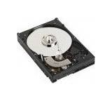 Caviar SE 16 WD5000KS (500 GB)