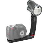 Sea Dragon Digital Blitz