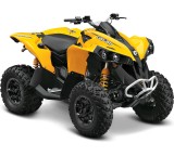 Quad im Test: Can-Am Renegade 500 4WD CVT (15 kW) von BRP, Testberichte.de-Note: ohne Endnote