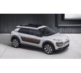 C4 Cactus [14]