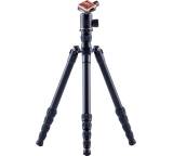 X2.1a Dave Evolution 2