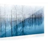 Acryl-Glas (40 x 40 cm)