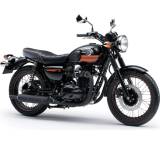 W800 Special Edition (35 kW) [14]