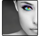 FaceFilter3 PRO (für Mac OS X)