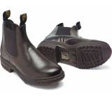 Mountain Horse Stall Jodhpur