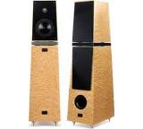 Lautsprecher im Test: Rienzi von Verity Audio, Testberichte.de-Note: 1.0 Sehr gut