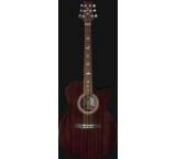 Gitarre im Test: SE A10E von PRS Guitars, Testberichte.de-Note: 1.0 Sehr gut