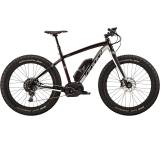 LEBOWSKe (Modell 2015)