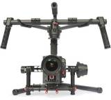 Ronin