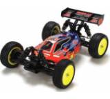 RC-Modell im Test: Losi Mini 8ight Dakotah Phend Limited Edition von Horizon Hobby, Testberichte.de-Note: ohne Endnote