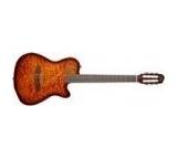 Gitarre im Test: Multiac ACS SA Special Edition von Godin Guitar, Testberichte.de-Note: ohne Endnote