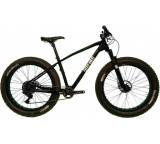 Echo X01 (Modell 2015)