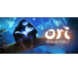 Ori and the Blind Forest (für PC)