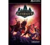 Game im Test: Pillars of Eternity von Paradox, Testberichte.de-Note: 1.8 Gut