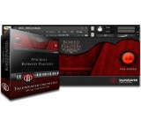 Ancient Bowed Psaltery