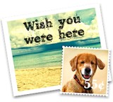 Bildbearbeitungsprogramm im Test: Fun Card Studio 2 von Ohanaware, Testberichte.de-Note: 1.8 Gut