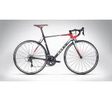 Agree GTC Race (Modell 2015)