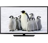 Fernseher im Test: LE24M600C von Haier, Testberichte.de-Note: ohne Endnote