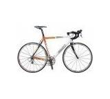 Roadracer SL 01 Orange