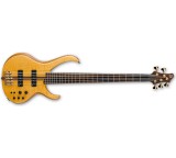 Bass im Test: BTB1405 von Ibanez, Testberichte.de-Note: ohne Endnote