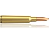 Munition im Test: Oryx 156 gr von Norma Precision, Testberichte.de-Note: ohne Endnote