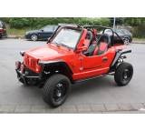 Quad im Test: Buggy 1100 4WD 5-Gang manuell (52 kW) von Quadix, Testberichte.de-Note: ohne Endnote