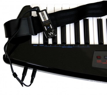 Produktbild Wi Digital Systems AudioLink Pro