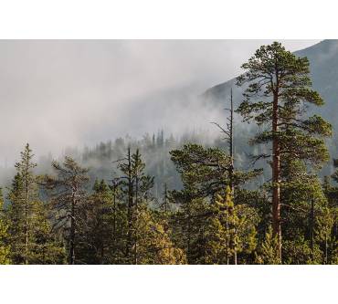 Produktbild Suunto Essential