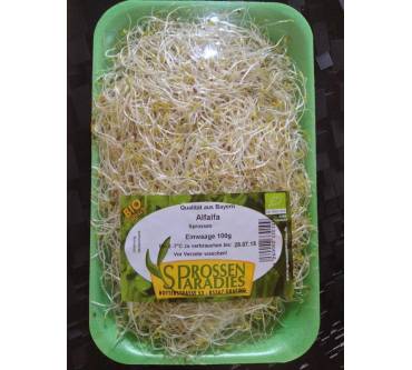 Produktbild Sprossenparadies Alfalfa-Sprossen