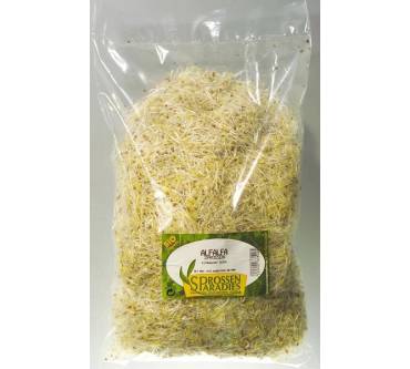 Produktbild Sprossenparadies Alfalfa-Sprossen